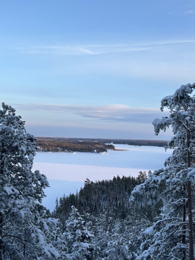 Snow-covered forests and frozen Lake Saimaa in winter in Puumala
